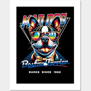 Mad Dog Boston Terrier Dog Posters and Art